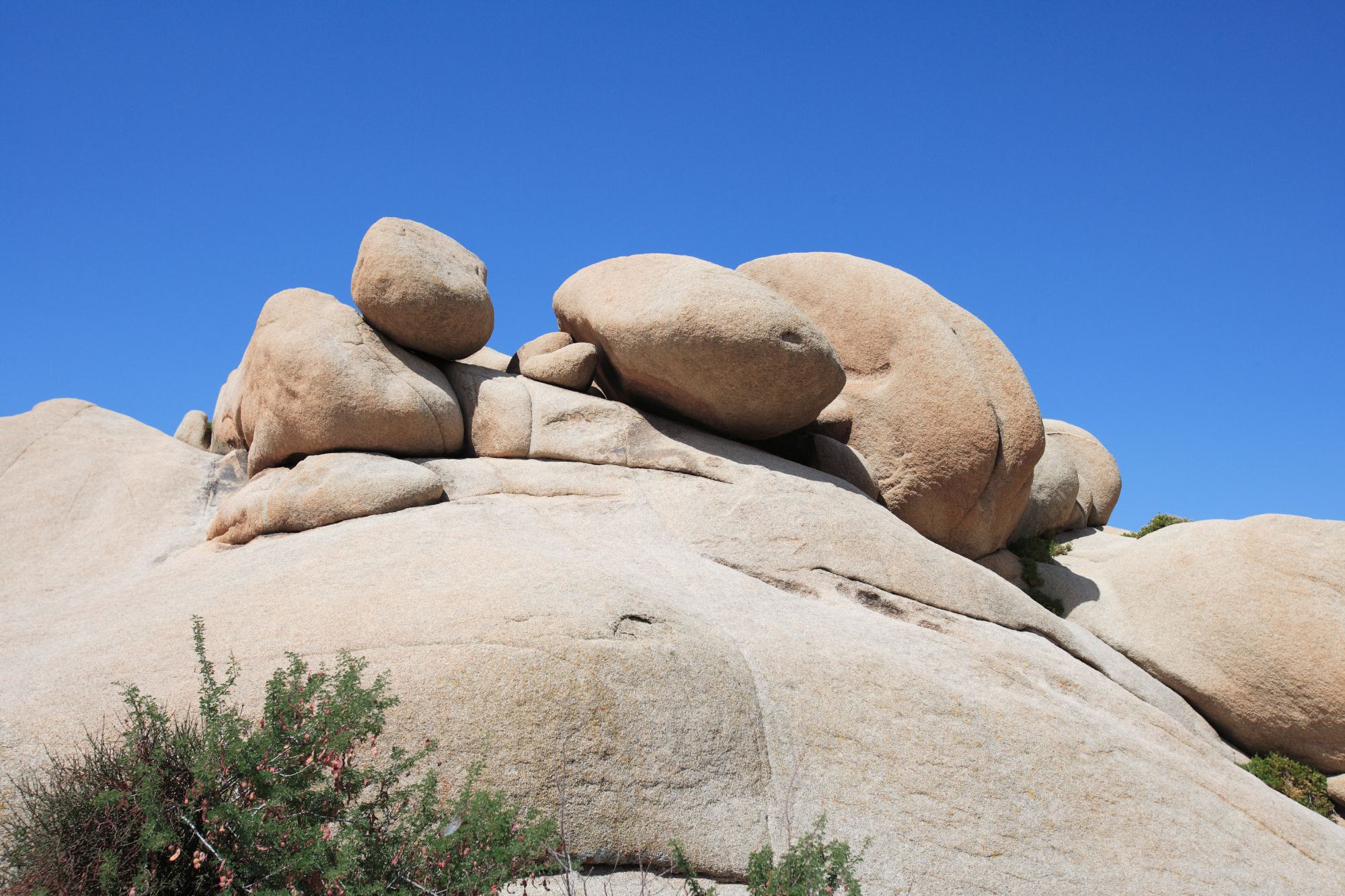 Joshua Tree National Park