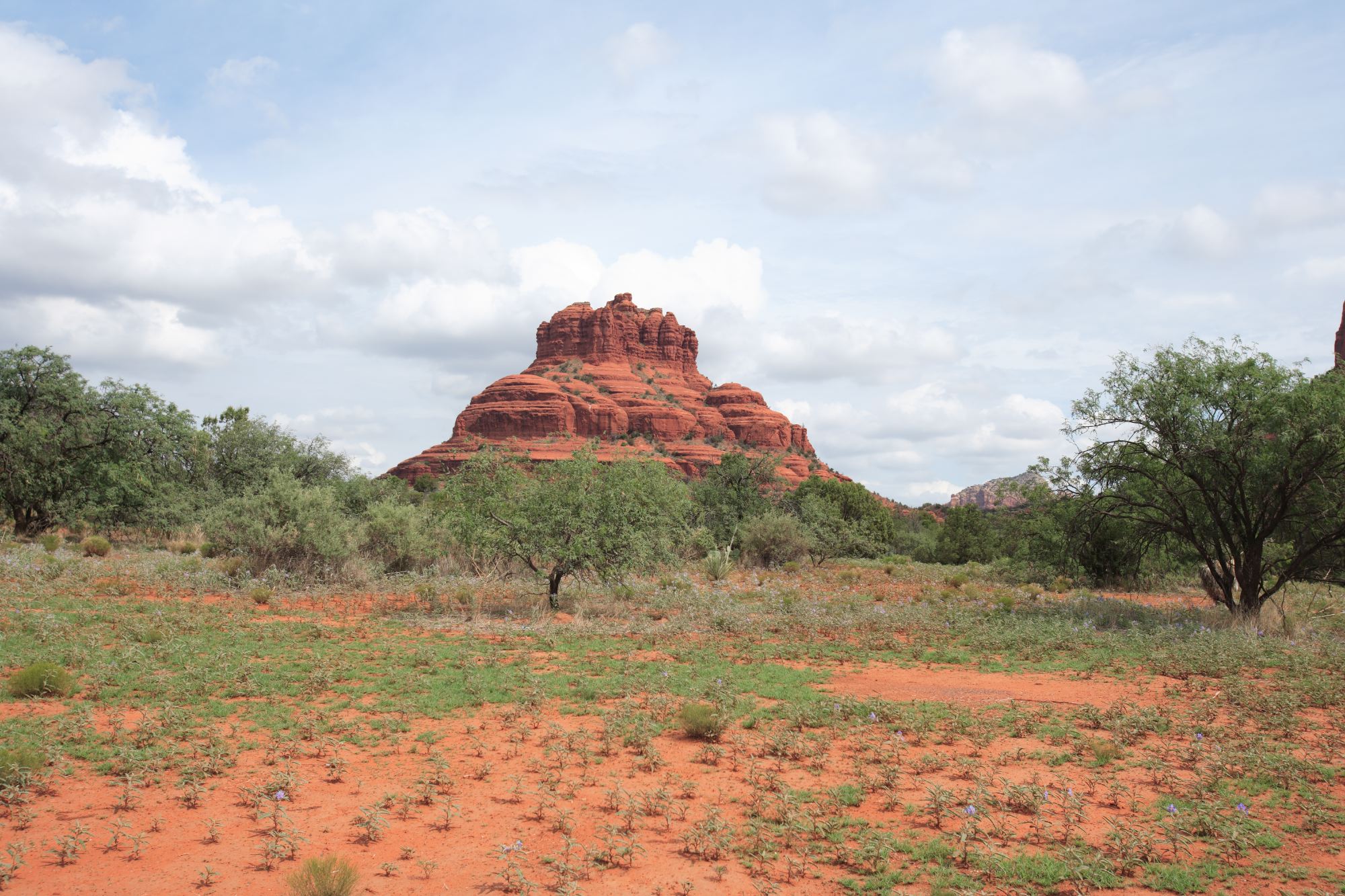 Cathedral Rock