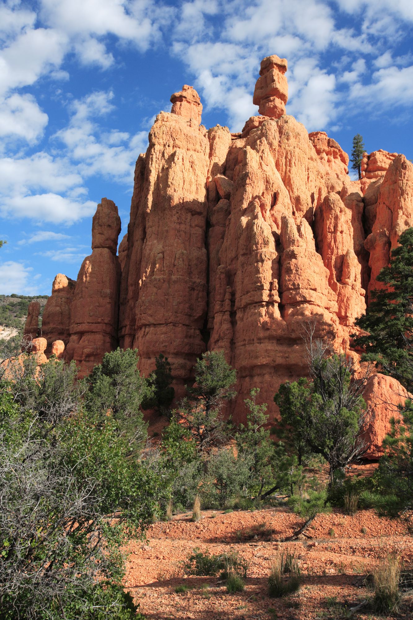 Red Canyon