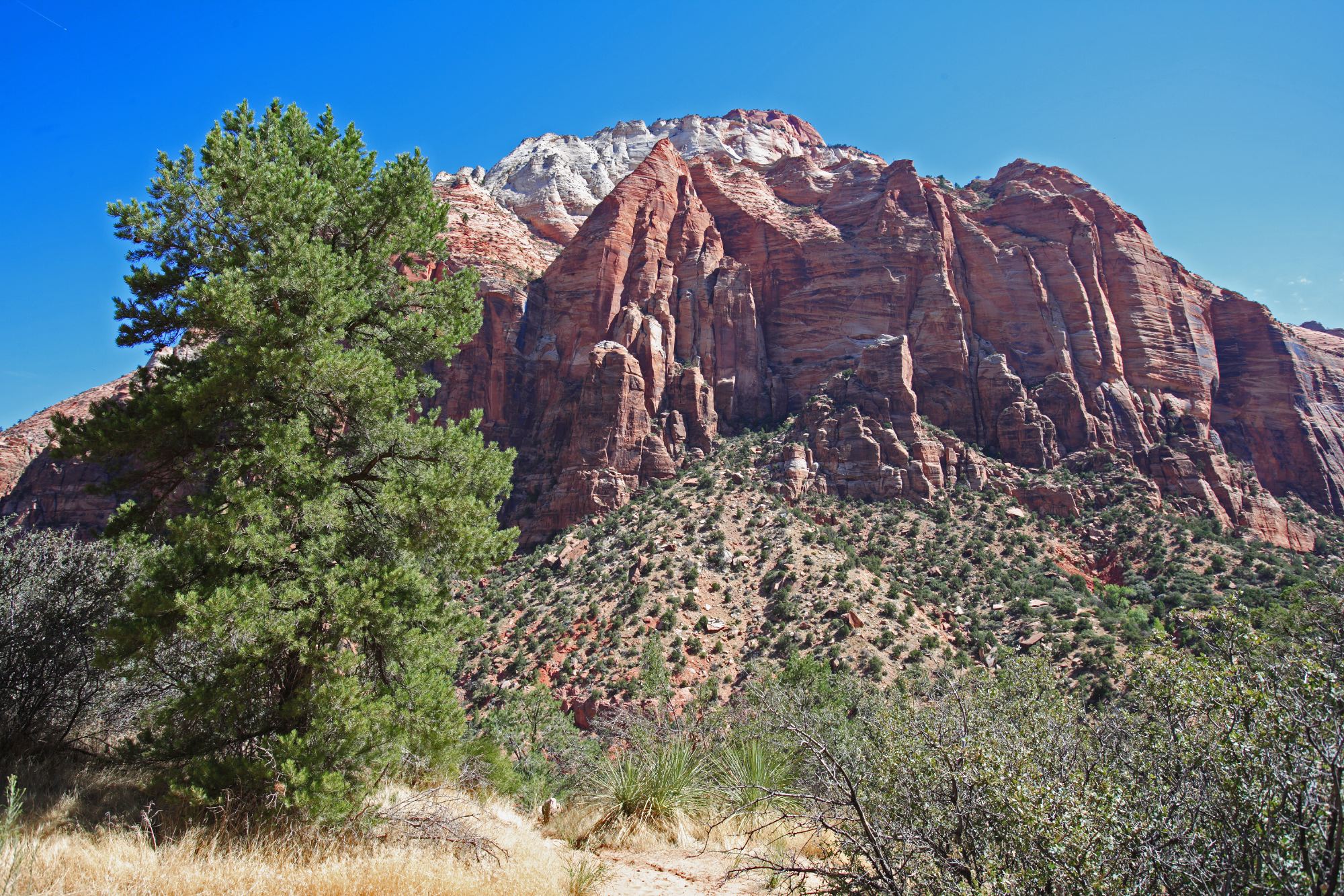 Zion National Park