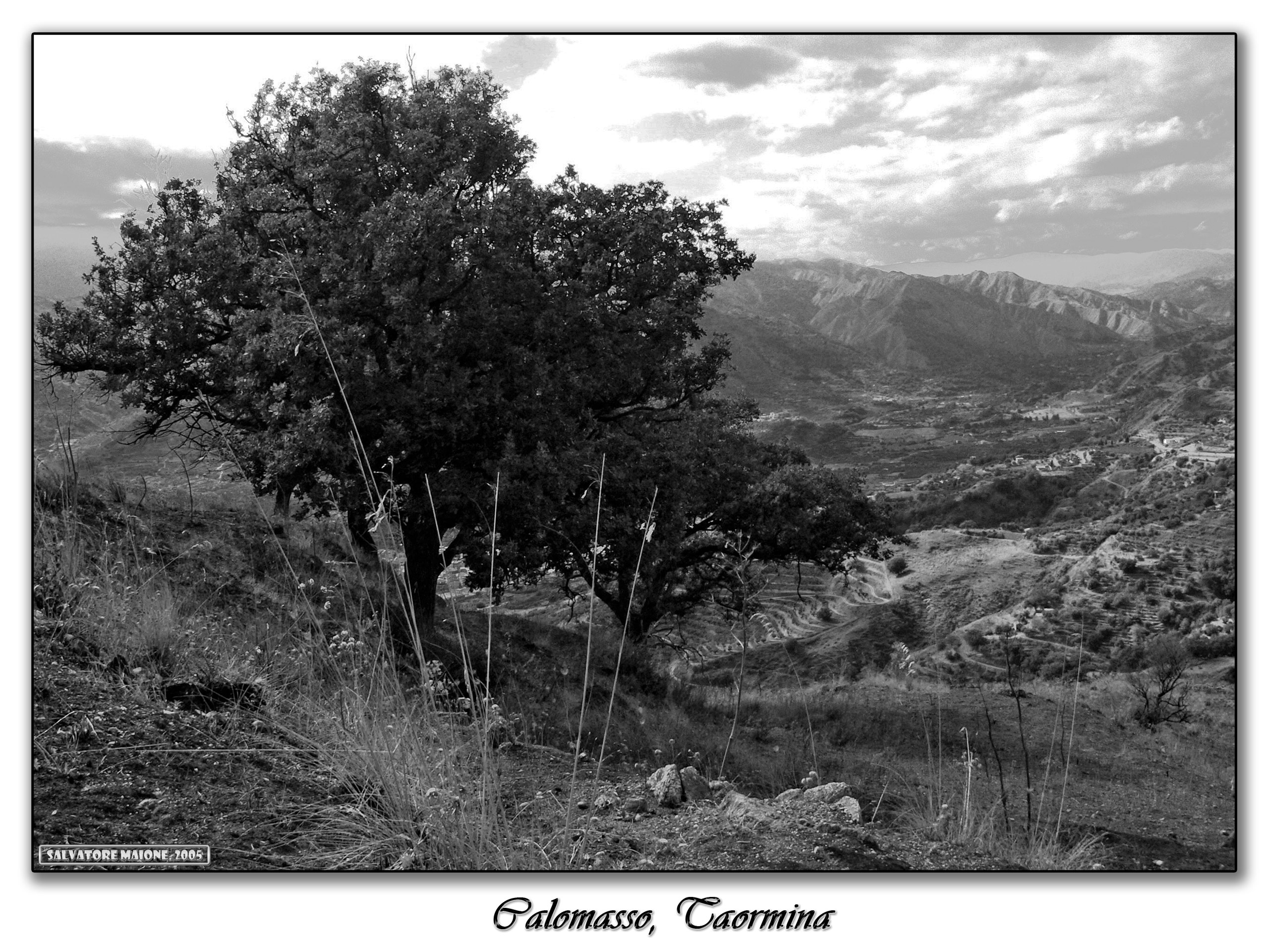 Calomasso - Taormina