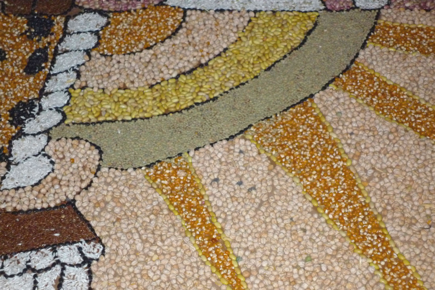 P1050692.JPG