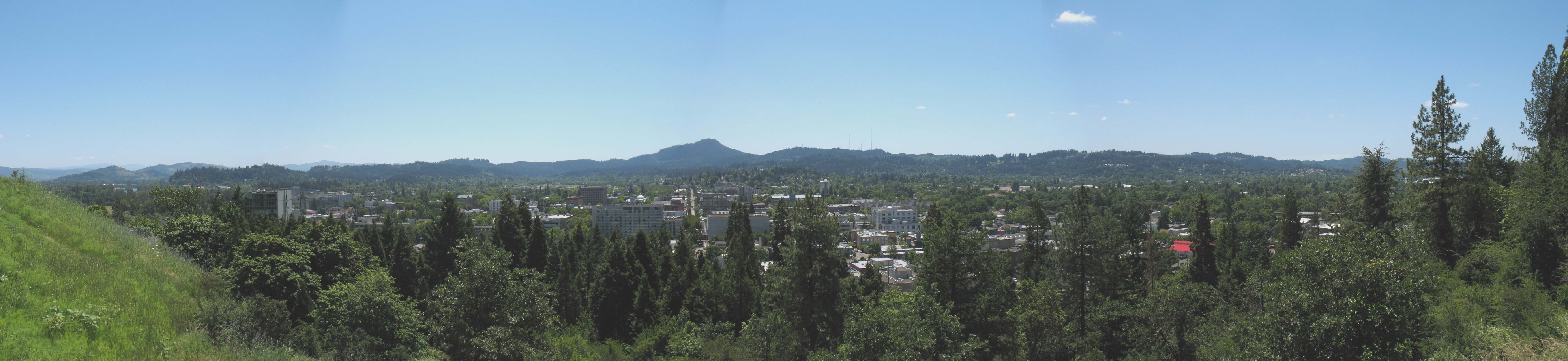 View from Skinners Butte