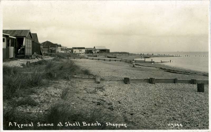 Shell Beach