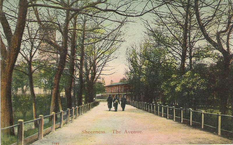 The Avenue