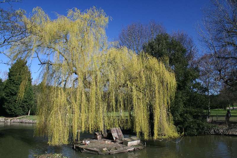 Aylsford Priory