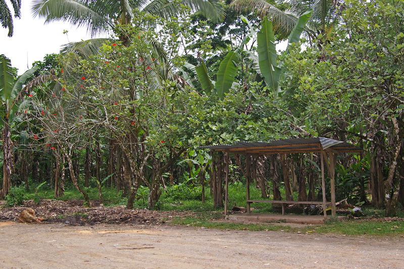 Bus stop