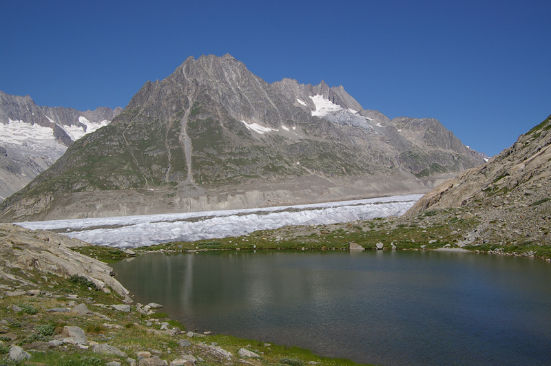 Mrjelensee