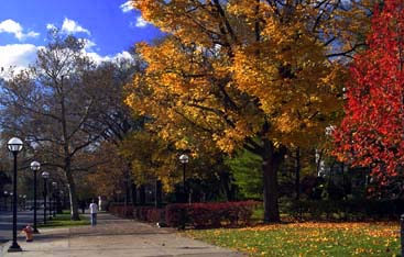 ann_arbor_michigan