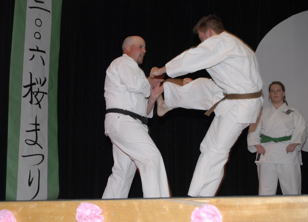 karate exhibit ISU cherry blossom festival _DSC0208.jpg