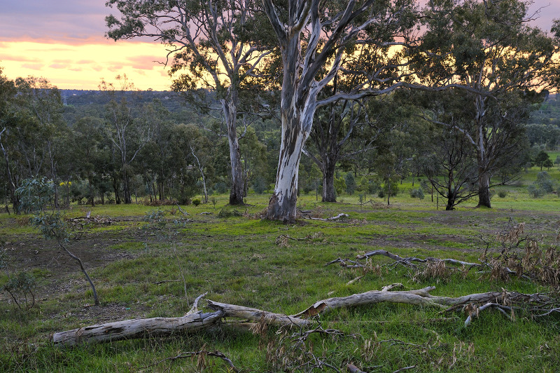 Park at dusk