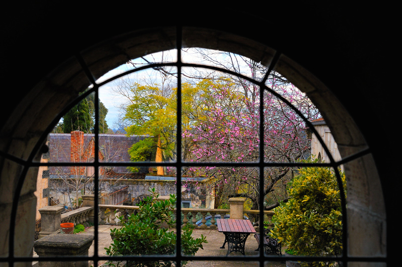 Arched window view