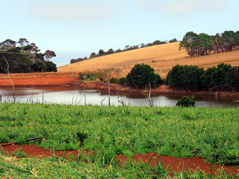 Wynyard farm and dam