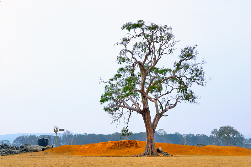 Drought & floods