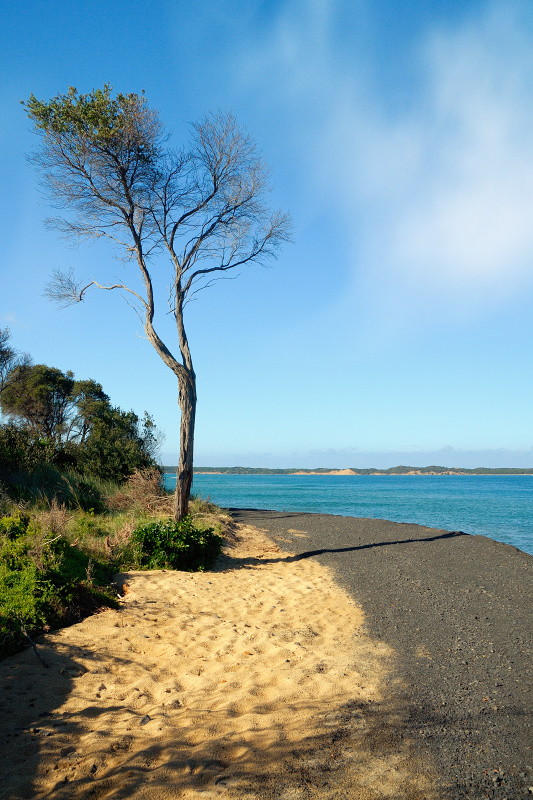 San Remo beach
