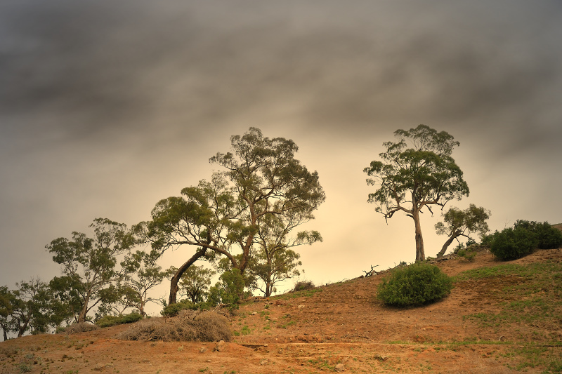 Hills of Bacchus Marsh