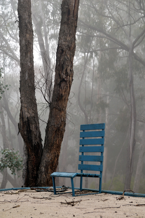 Seat by forked trunks