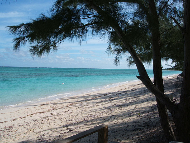 Hollywood Beach, looking east, toward Horsetable Beach