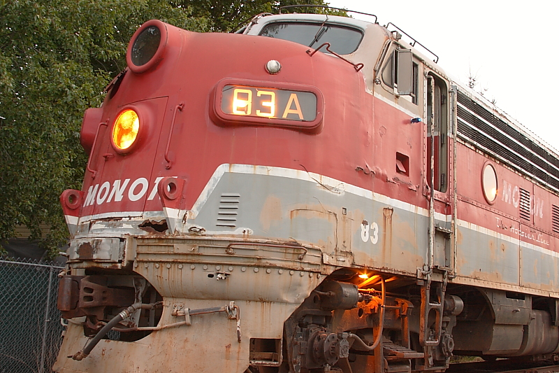 CRW_7679.JPG