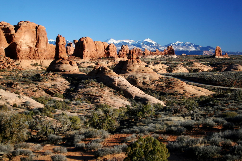 Petrified Sand Dunes