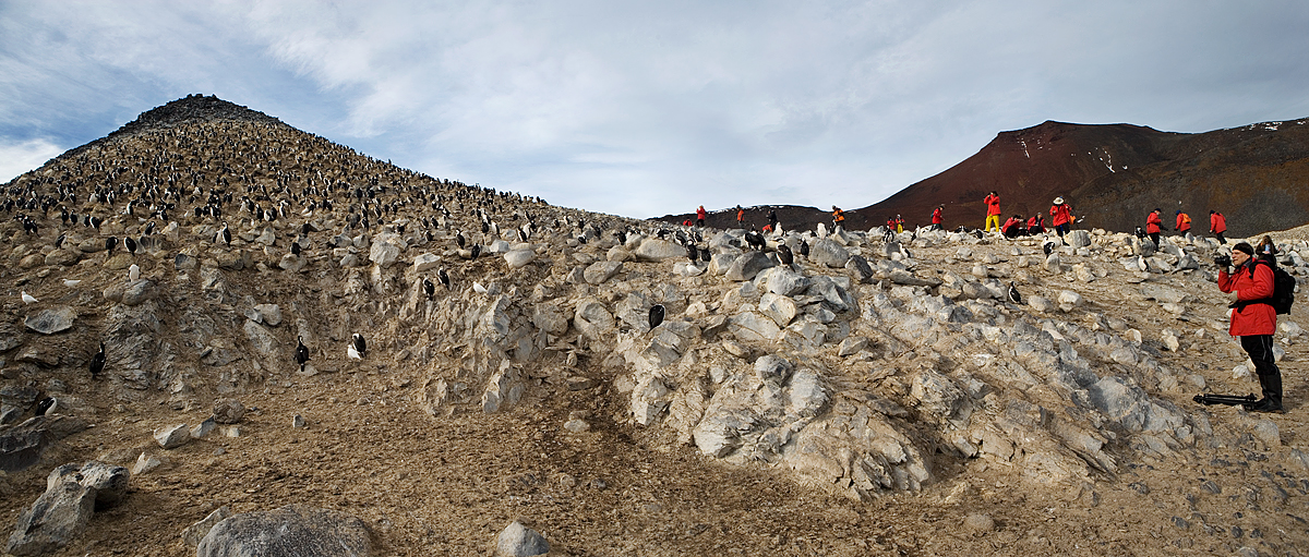 Photographers visiting Cormorant Colony