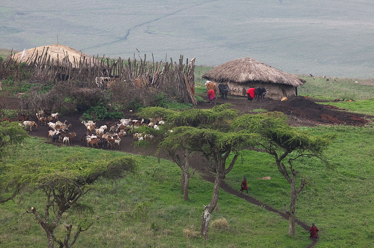 Masai-Boma-RTP.jpg