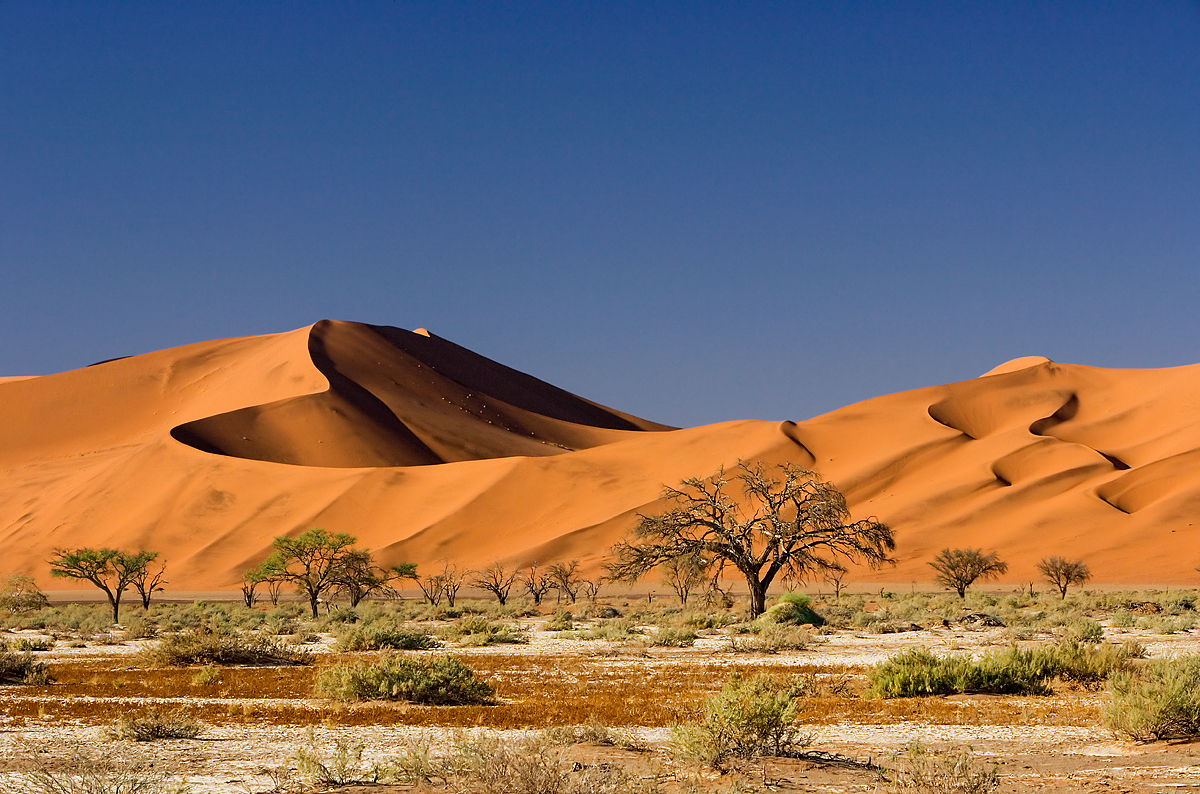 Red-Dunes, Namib Desert