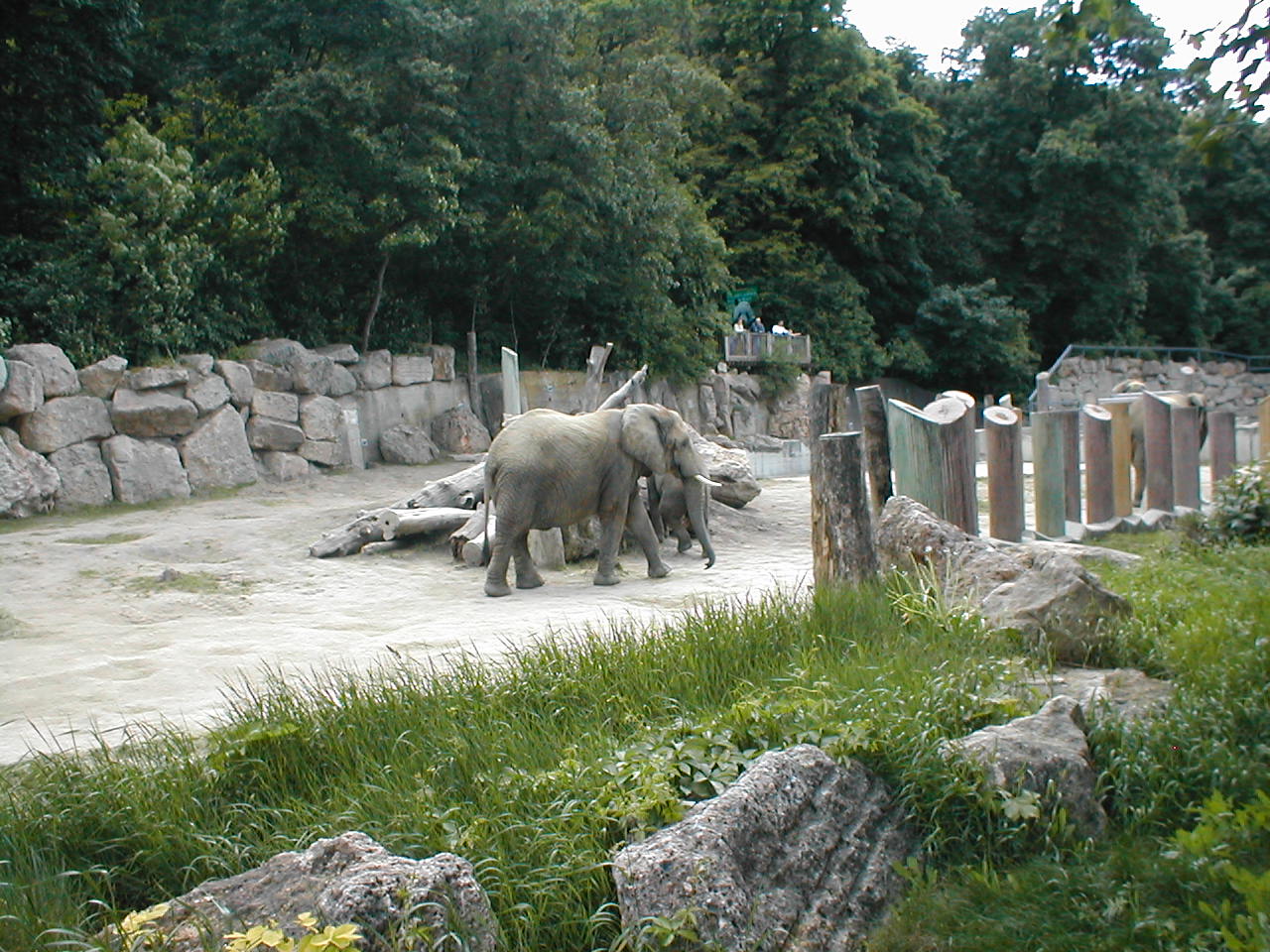 Vienna Zoo