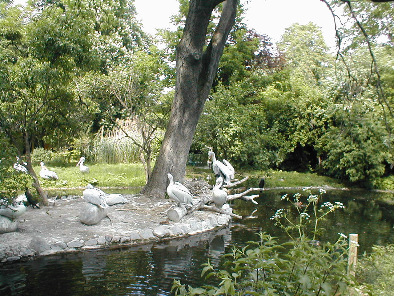Vienna Zoo