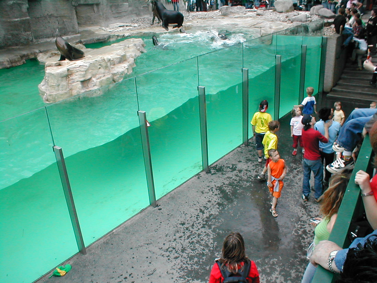 Vienna Zoo