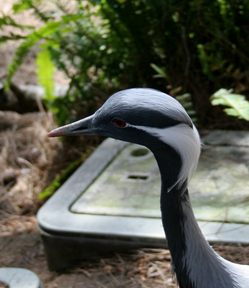 IMG_5830.JPG
