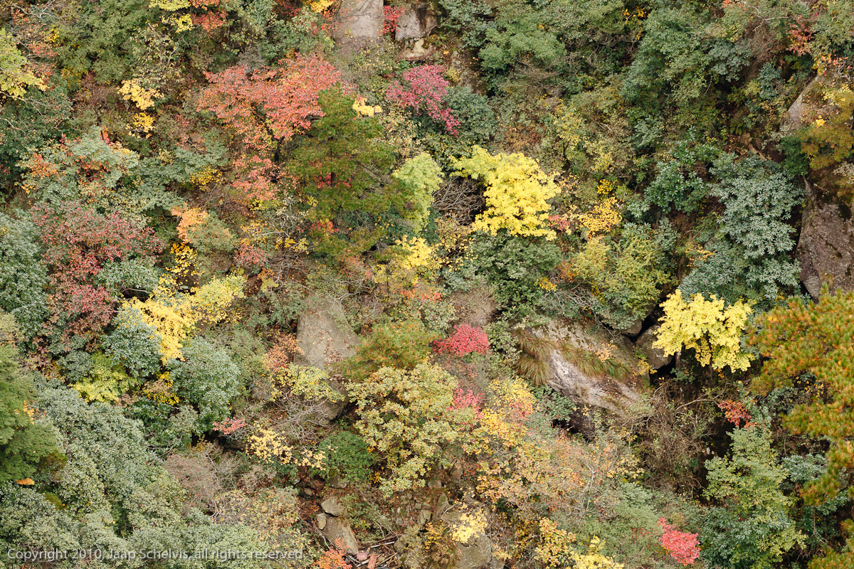 Huangshan