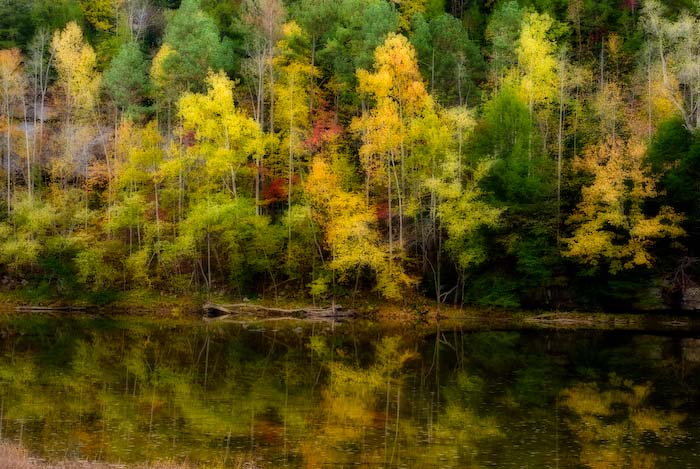 Cumberland River