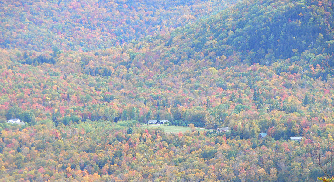 View of the Meadow from Welch Mountain