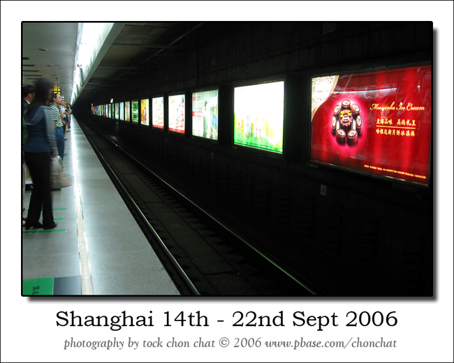 Shanghai 05
