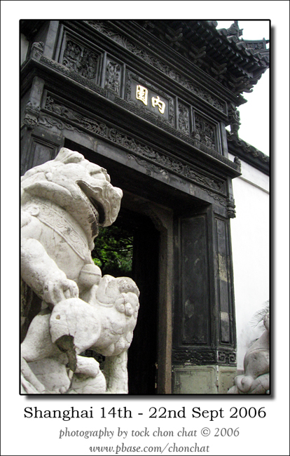 Shanghai 24