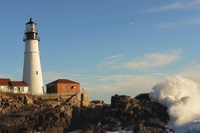 DSC08252.jpg SEAGULLS DELIGHT! PORTLAND HEAD LIGHT DONALD VERGER MAINE LIGHTHOUSES CAPE ELIZABETH