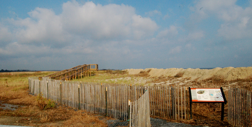 Fowler Beach Viewing Platform