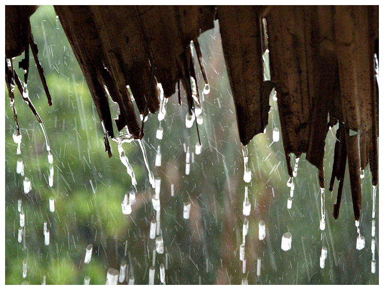 Rain rain rain