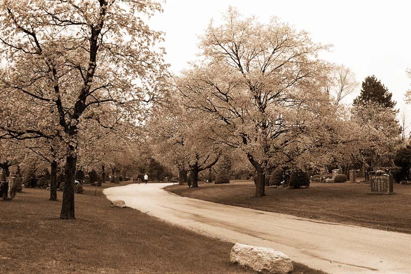 York Cemetery