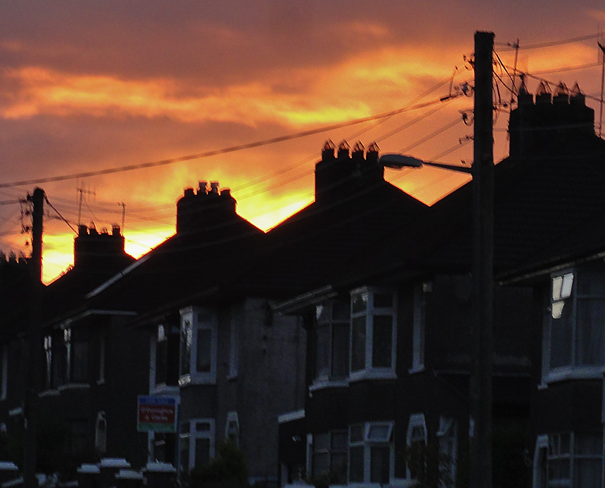 Sunset over Wilton Gardens