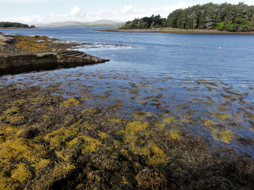 Kenmare Bay Area