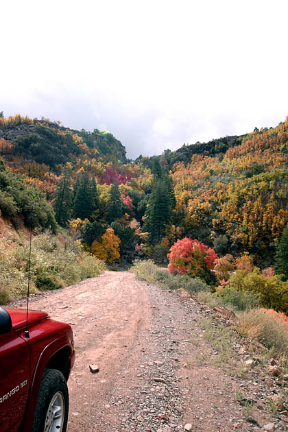 CRW_4522.jpg