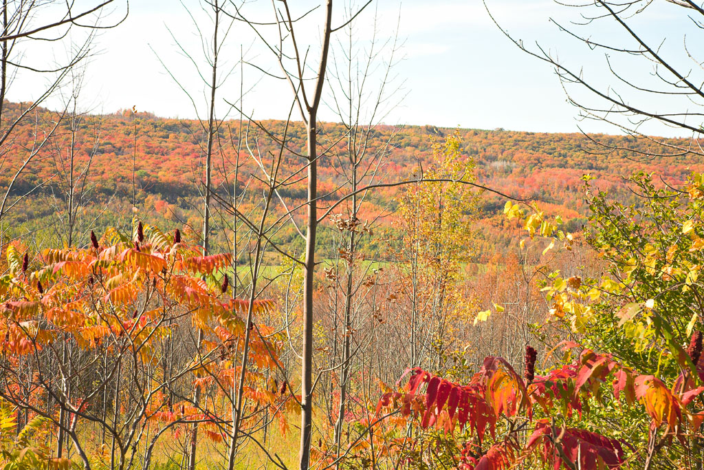 Beaver Valley
