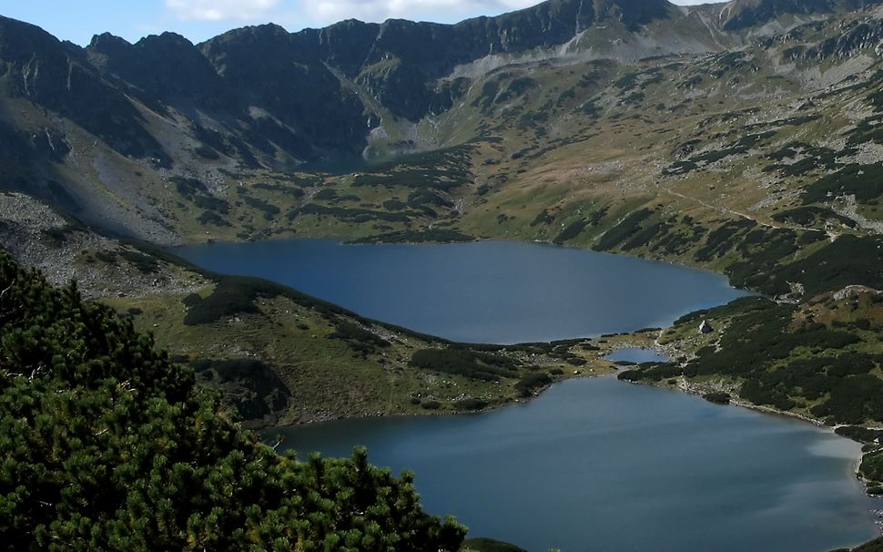 Dolina Pięciu Staww (D5SP)