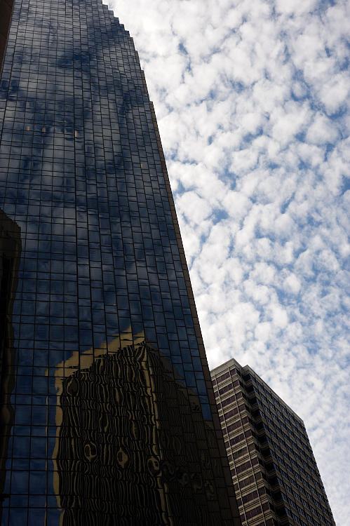 Mirror City
