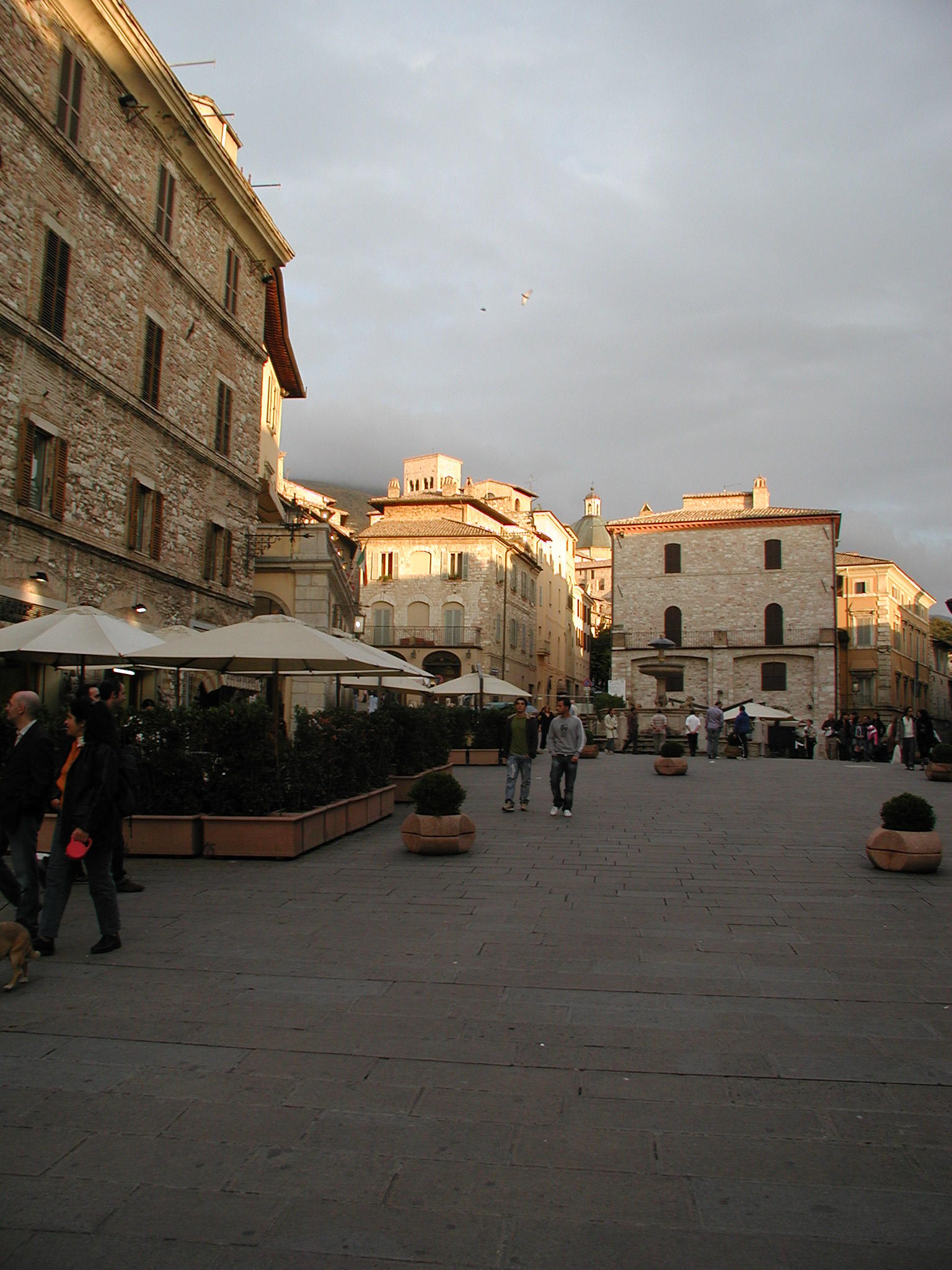 PA220471.JPG