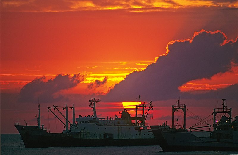 Ships Zanzibar