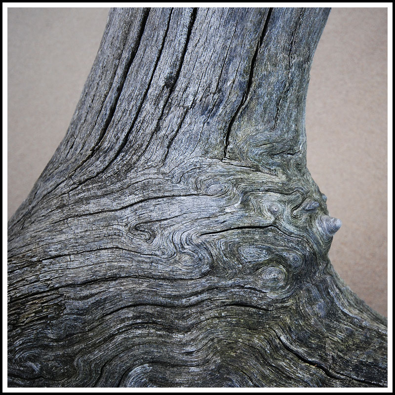 Wood
