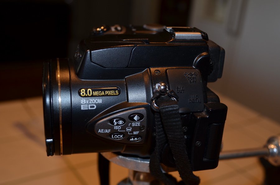 Nikon CoolPix 8700 photo Richard Guillis photos at